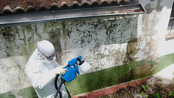 Top rated local Mold Testing specialists in Church Hill, PA